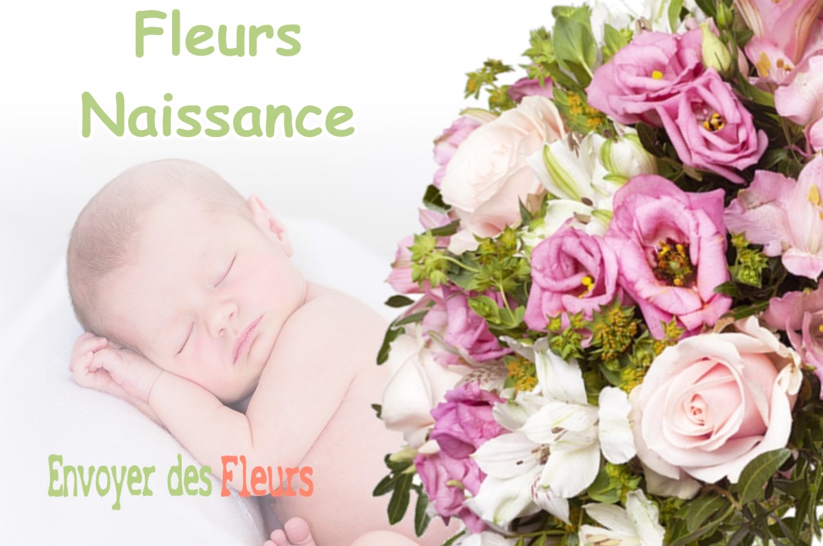 lIVRAISON FLEURS NAISSANCE à BORDES-DE-RIVIERE